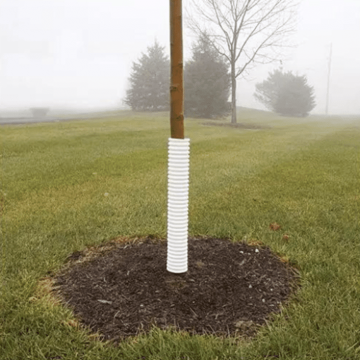 Tree trunk wrapped in a white plastic cover for winter protection, with a foggy background