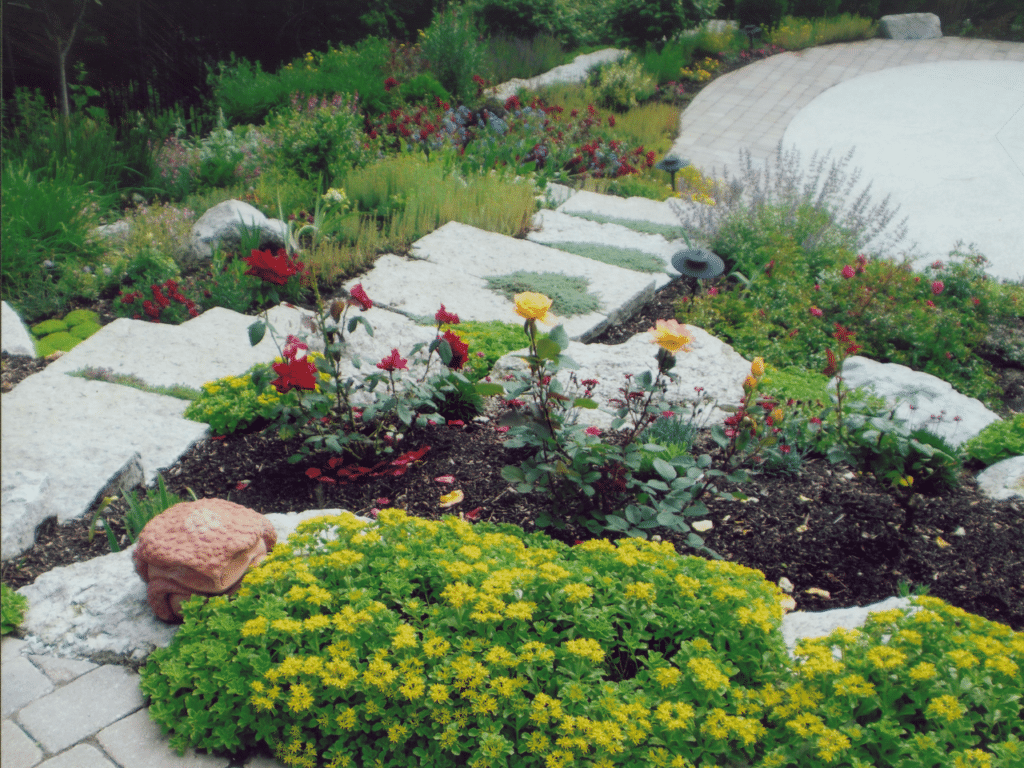 erraced garden with white stone steps, blooming roses, and yellow sedum, showcasing romantic garden ideas with mixed perennials