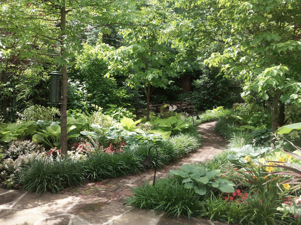 Winding brick pathway through a lush garden with hosta, liriope, and shade trees creating a romantic garden retreat