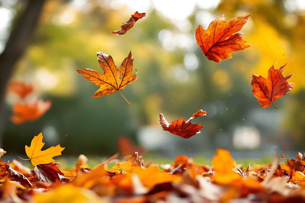 Golden brown leaves on the ground in a Missouri yard, showing how to leave the leaves for a pollinator-friendly garden.
